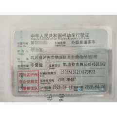 2020 上汽通用凯迪拉克 上海通用凯迪拉克XT4 SUV 2.0T 手自一体 (SGM6468EBA2)